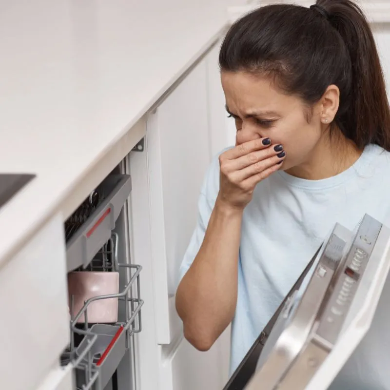 Dishwasher Smells Bad - Express Repair New York | Fix it Today!